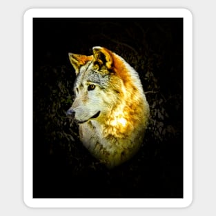 Wolf portrait Sticker